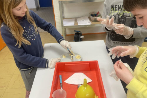 Les élèves apprennent à extraire l'ADN d'une banane.